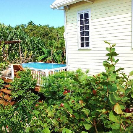 Hidden Gem Cabana Caye Caulker Eksteriør billede