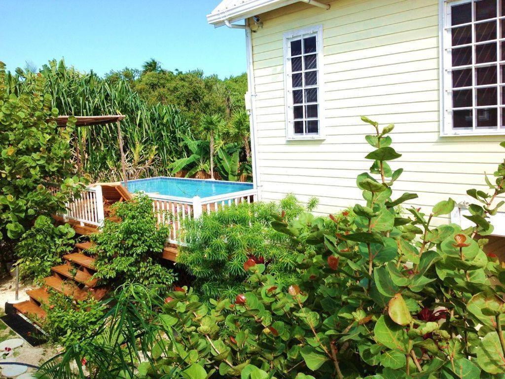 Hidden Gem Cabana Caye Caulker Eksteriør billede