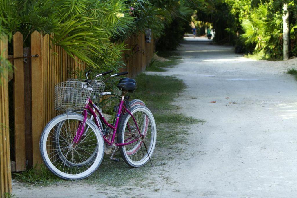 Hidden Gem Cabana Caye Caulker Eksteriør billede